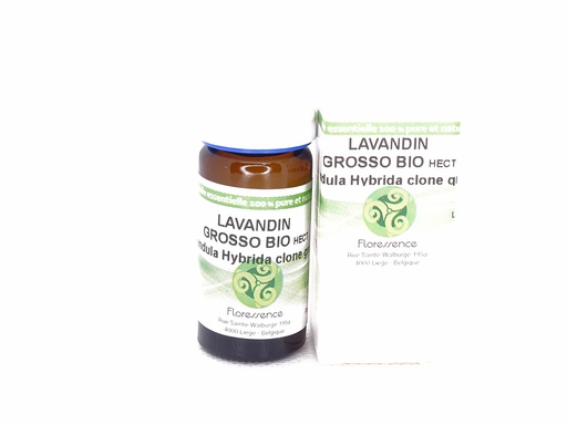 Lavandin Grosso (Lavandula Hybrida clone abrialis) Bio 10ml